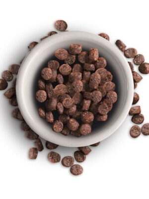 07325-07326-petandvet-trofes-gatas-ksira-trofi-leonardo-adult-salmon-grain-free-solomo-kroketa-a