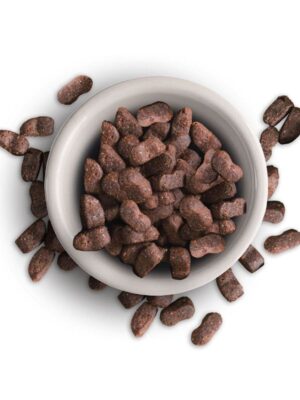 07331-07445-petandvet-trofes-gatas-ksira-trofi-leonardo-adult-maxi-grain-free-kotopoulo-kroketa-a