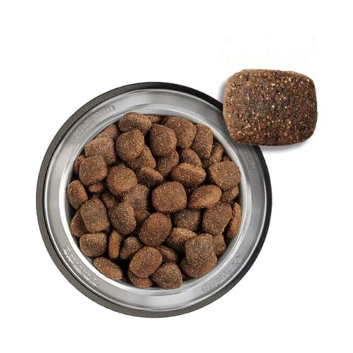 Belcando Adult Grain Free Ocean Ξηρά Τροφή Σκύλων Ψάρι