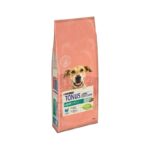Purina Tonus Dog Chow Light Ξηρά Τροφή Σκύλου Υπέρβαρα Γαλοπούλα 14kg