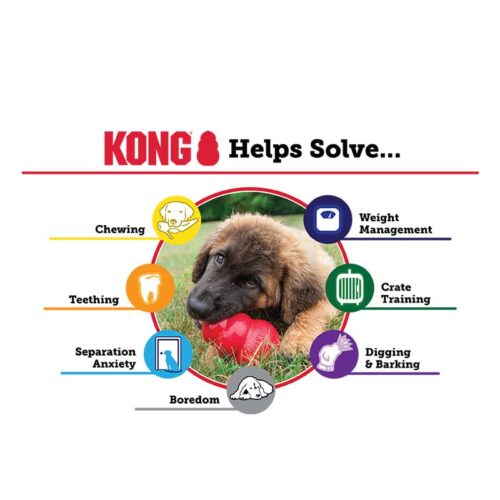 Kong Senior Παιχνίδι Υπερήλικων Σκύλων Μοβ