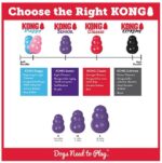 Kong Senior Παιχνίδι Υπερήλικων Σκύλων Μοβ