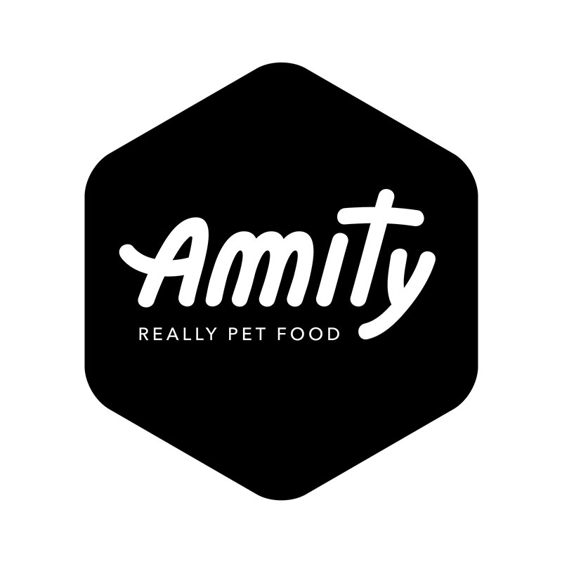 Amity-Logo