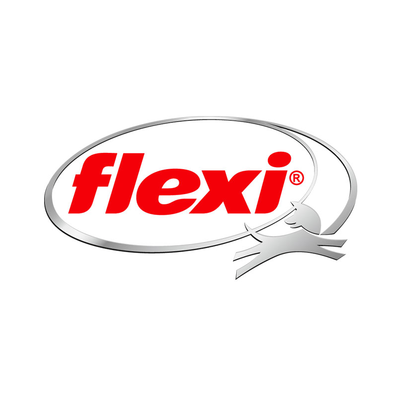 Flexi-Logo