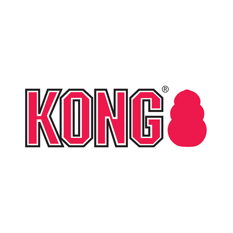 Kong-Logo