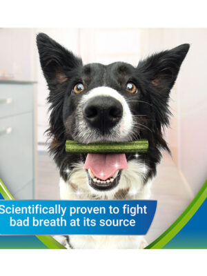 12493674-12493666-12493661-petandvet-ygeini-skylou-stomatiki-ygeini-purina-dentalife-activefresh-s-m-l-b
